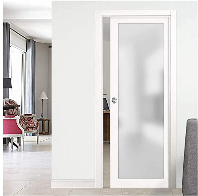 1 Lite Glass Pocket Door - DALMATIAN DOORS™ and Woodworking
