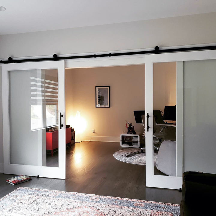 Glass Panel Double Barn Door - DALMATIAN DOORS™ and Woodworking