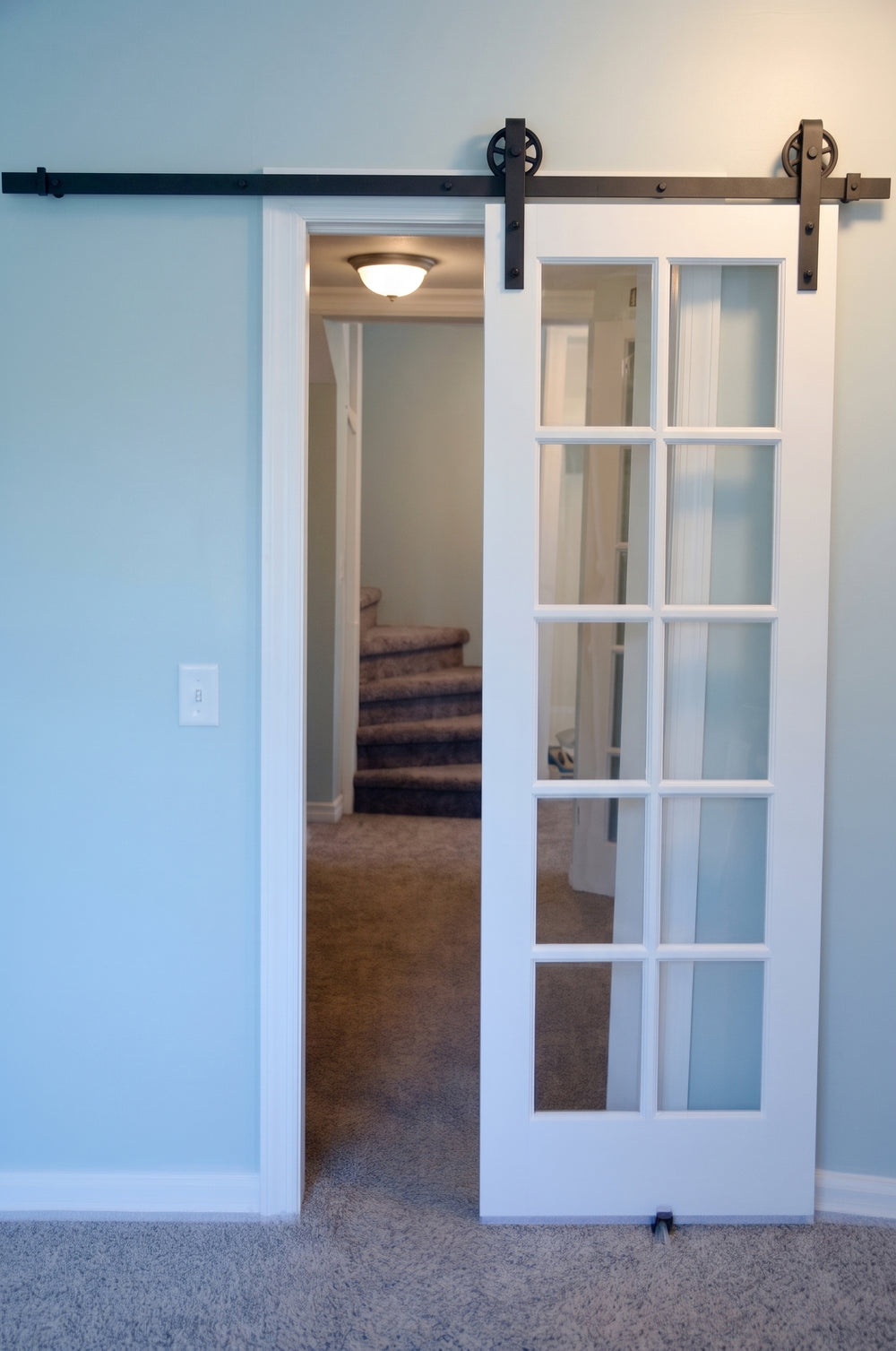 10 Lite Glass Barn Door - DALMATIAN DOORS™ and Woodworking
