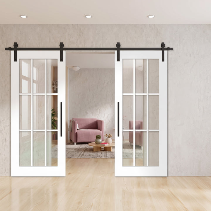 Glass 9 Panel Double Barn Door - DALMATIAN DOORS™ and Woodworking