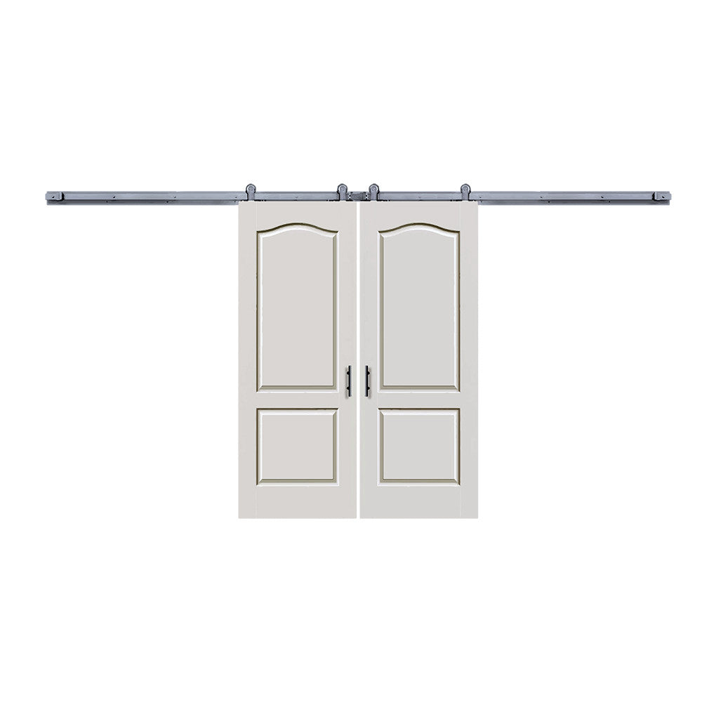 Camden 2 Panel Double Barn Door - DALMATIAN DOORS™ and Woodworking