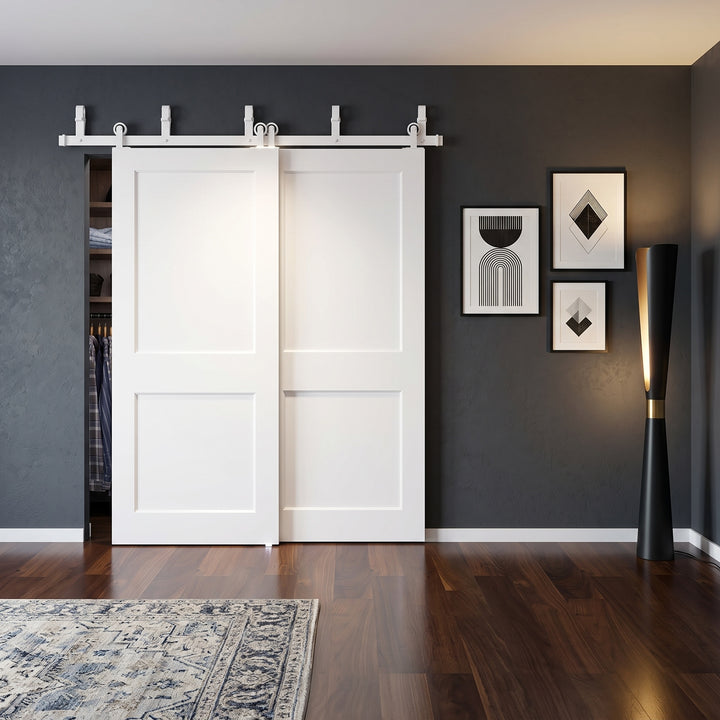 Wood 2 Panel Bypass Barn Door - DALMATIAN DOORS™ and Woodworking